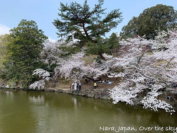 Nara019.jpg