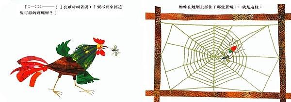 3. 好忙的蜘蛛 (2).jpg