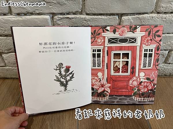 【陳媽媽好書推薦】有趣又可以激發孩子想像力的童書｜信誼小太陽