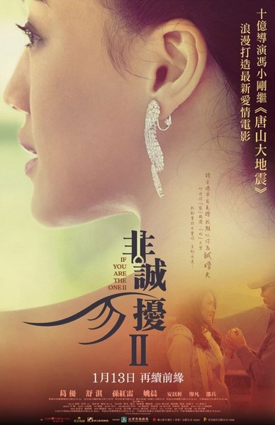 110131=非誠勿擾2