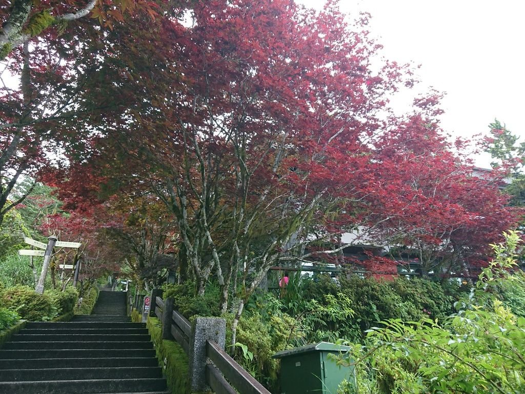 DSC_4912.jpg