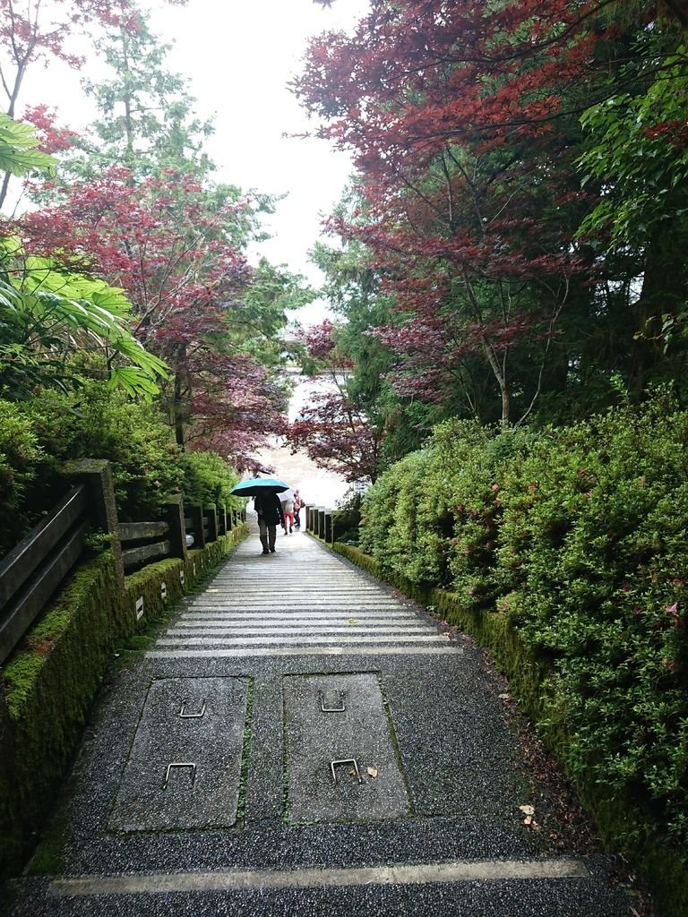 DSC_4904.jpg