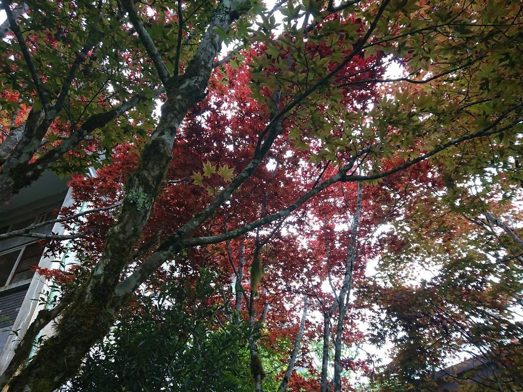 DSC_4906.jpg