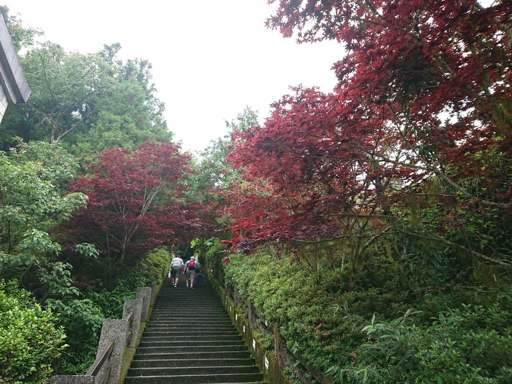 DSC_4892.jpg