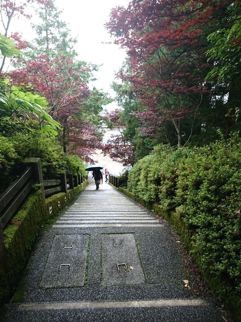 DSC_4903.jpg