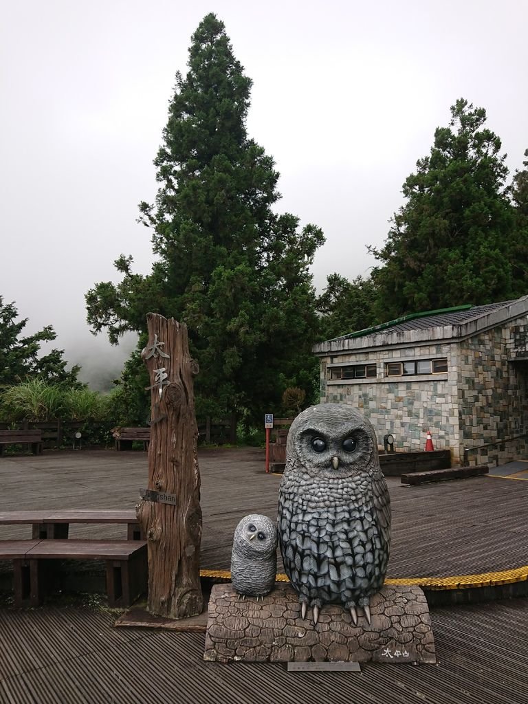 DSC_4952.jpg