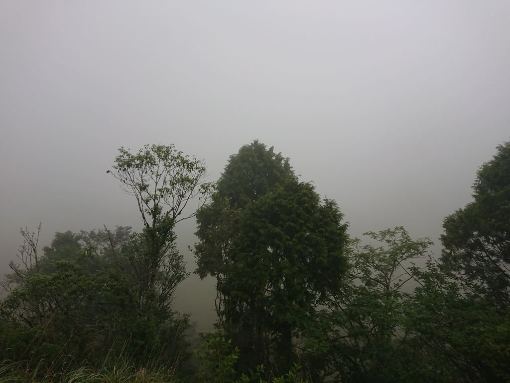DSC_4968.jpg