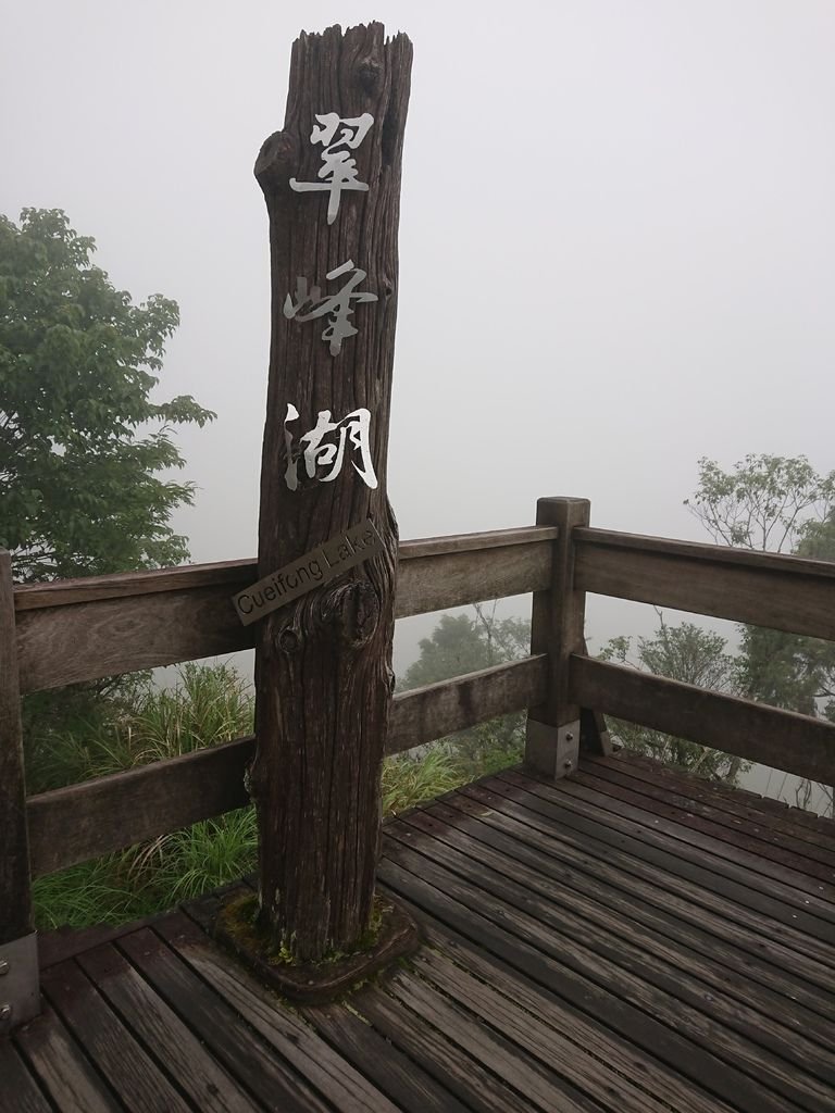 DSC_4965.jpg