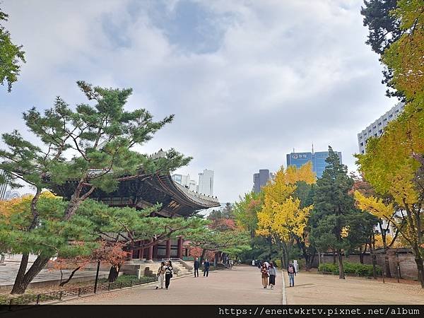 【韓國旅遊】德壽宮惇德殿百年來首次開放參觀丨身處韓國傳統宮殿