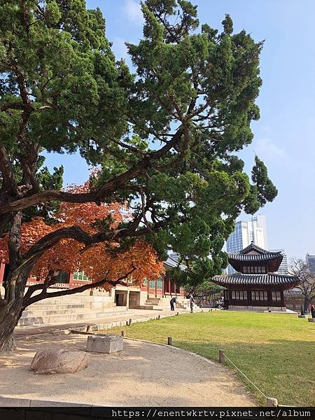 【韓國旅遊】德壽宮惇德殿百年來首次開放參觀丨身處韓國傳統宮殿