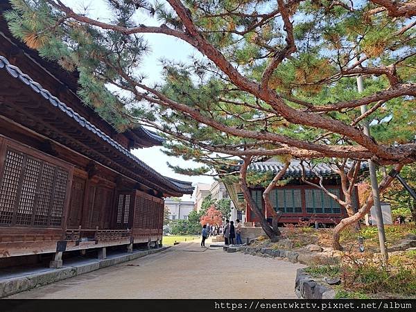 【韓國旅遊】德壽宮惇德殿百年來首次開放參觀丨身處韓國傳統宮殿