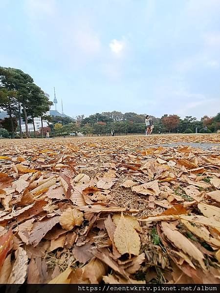 【韓國旅遊】首爾南山白凡廣場及城郭景色，秋天賞楓最佳景點。