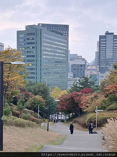 【韓國旅遊】首爾南山白凡廣場及城郭景色，秋天賞楓最佳景點。