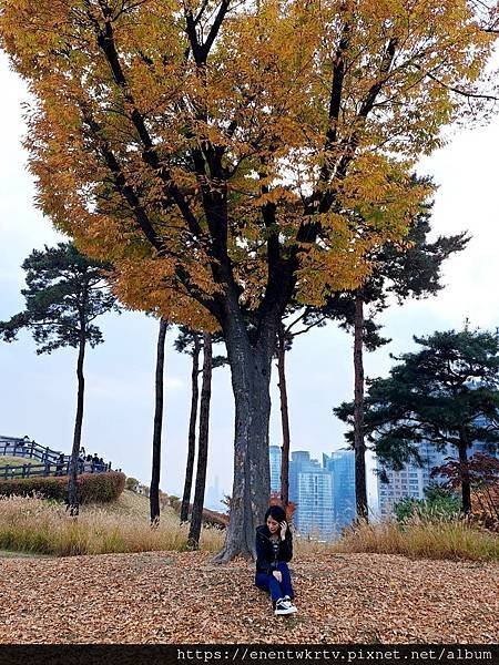 【韓國旅遊】首爾南山白凡廣場及城郭景色，秋天賞楓最佳景點。