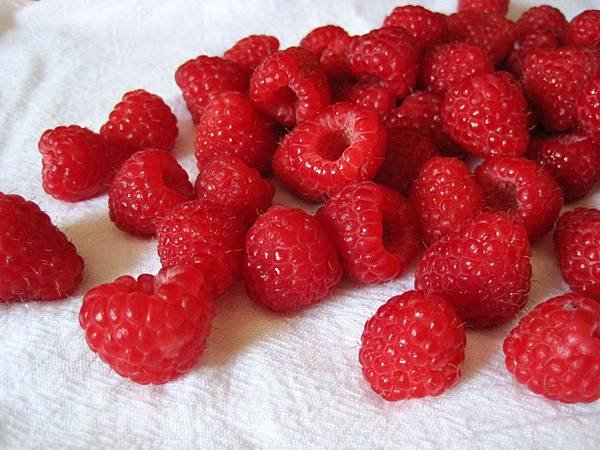 raspberries-towel-close-up[1]