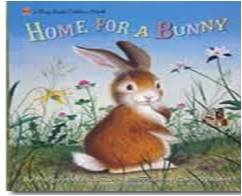 Home For A Bunny