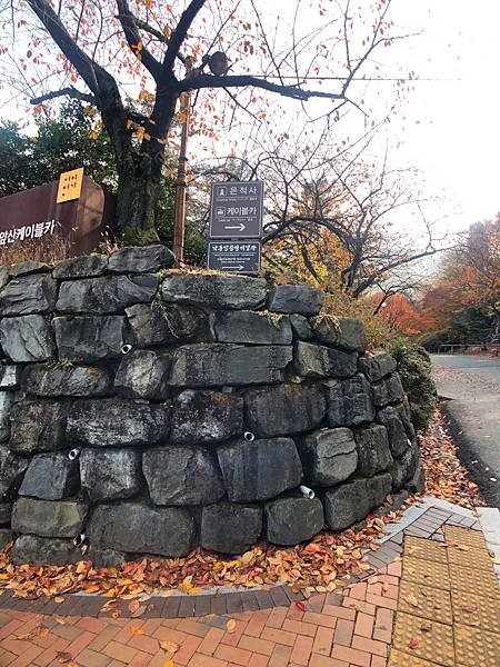 ［大邱 景點］金秘書為何那樣 韓劇 約會地點 前山展望台 楓