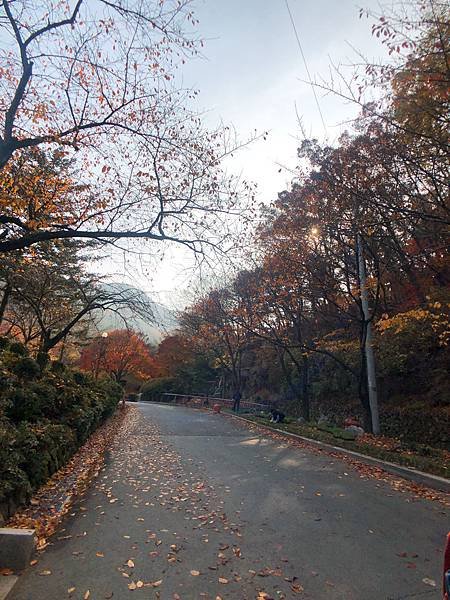 ［大邱 景點］金秘書為何那樣 韓劇 約會地點 前山展望台 楓