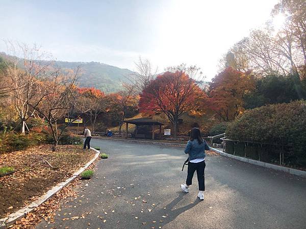 ［大邱 景點］金秘書為何那樣 韓劇 約會地點 前山展望台 楓