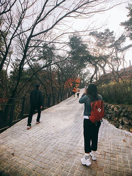 ［大邱 景點］金秘書為何那樣 韓劇 約會地點 前山展望台 楓