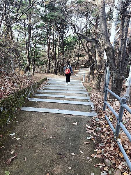 ［大邱 景點］金秘書為何那樣 韓劇 約會地點 前山展望台 楓