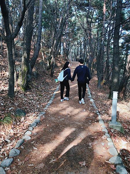 ［大邱 景點］金秘書為何那樣 韓劇 約會地點 前山展望台 楓