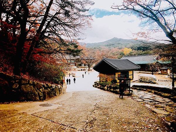 ［韓國大邱 遊記］桐華寺 八公山 幸運 鳳凰蛋 安地郎 烤腸