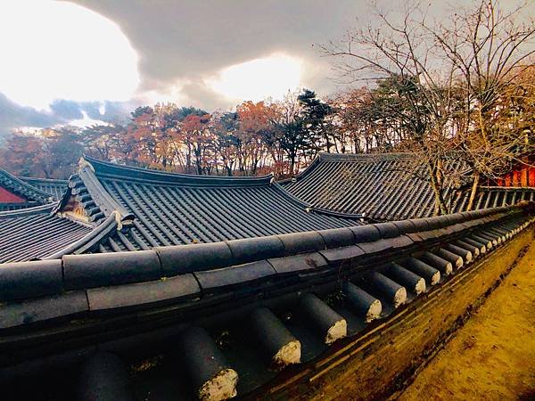 ［韓國大邱 遊記］桐華寺 八公山 幸運 鳳凰蛋 安地郎 烤腸