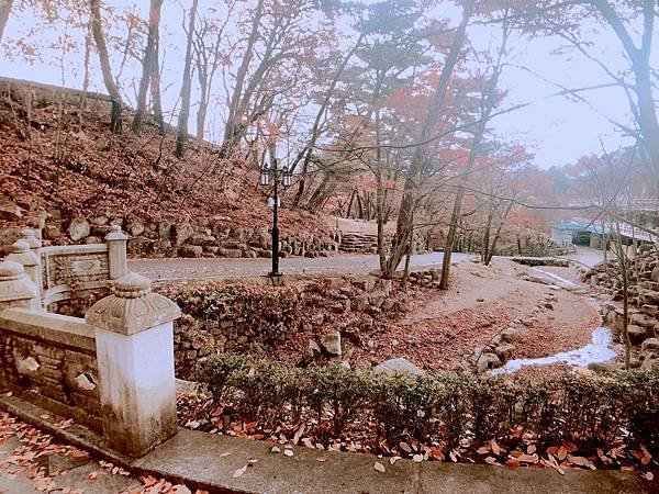 ［韓國大邱 遊記］桐華寺 八公山 幸運 鳳凰蛋 安地郎 烤腸