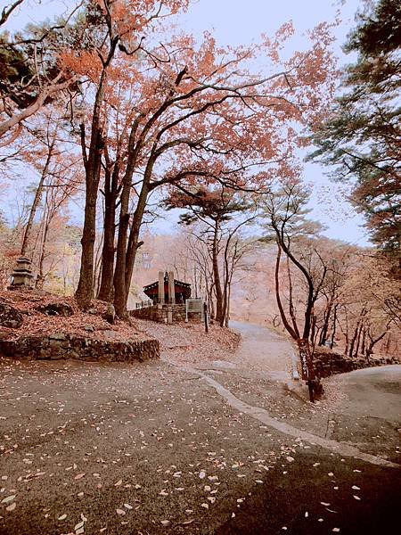 ［韓國大邱 遊記］桐華寺 八公山 幸運 鳳凰蛋 安地郎 烤腸