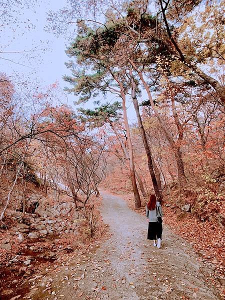 ［韓國大邱 遊記］桐華寺 八公山 幸運 鳳凰蛋 安地郎 烤腸