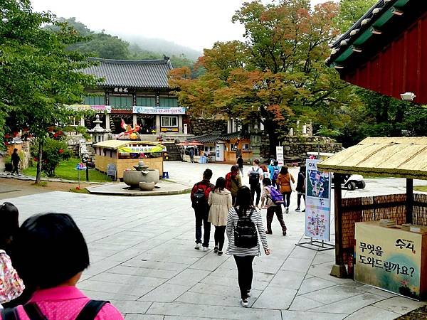 ［韓國大邱 遊記］桐華寺 八公山 幸運 鳳凰蛋 安地郎 烤腸