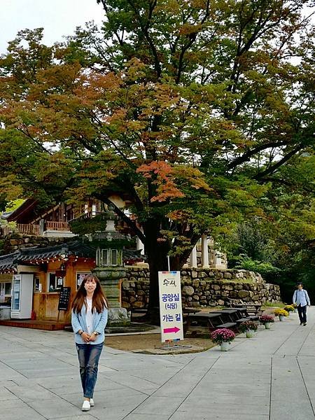 ［韓國大邱 遊記］桐華寺 八公山 幸運 鳳凰蛋 安地郎 烤腸