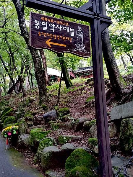 ［韓國大邱 遊記］桐華寺 八公山 幸運 鳳凰蛋 安地郎 烤腸