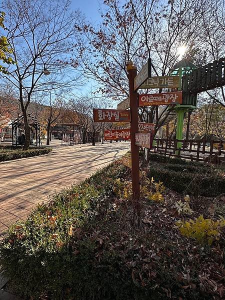 大邱-壽城池 Arte Suseong 樂園 天空自行車 賞