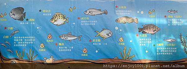 IMG_6432.jpg