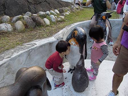 動物園-11