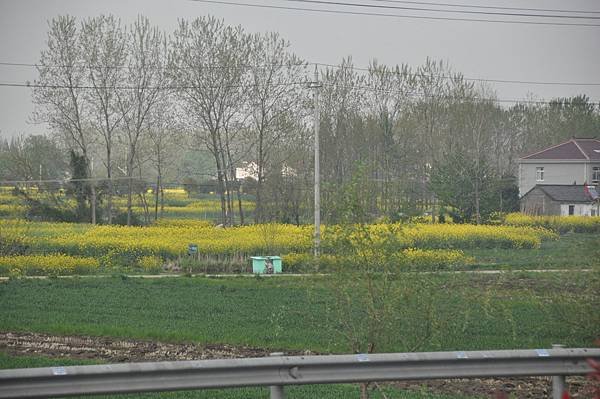 DSC_0143.JPG