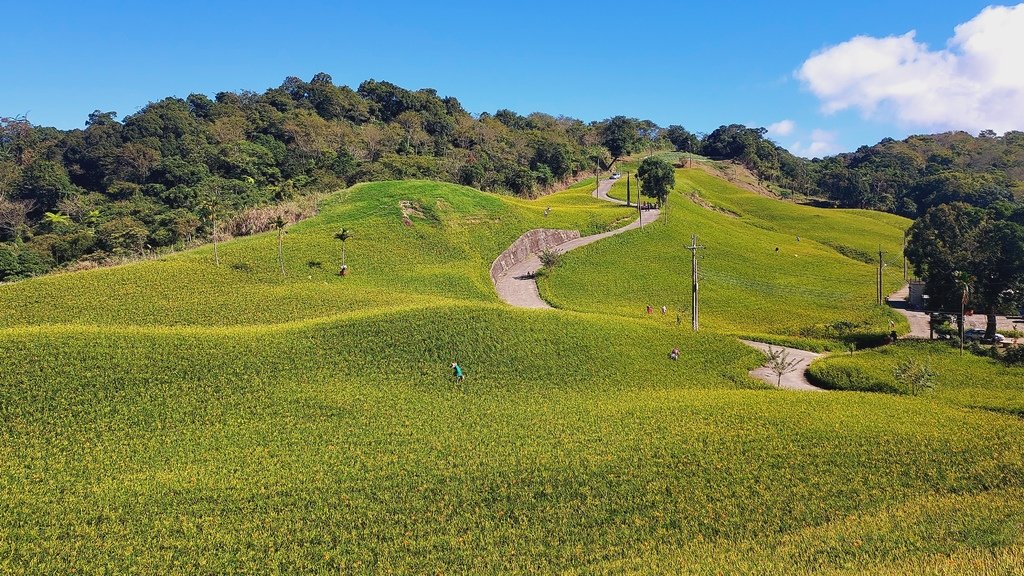 花蓮金針山健行-山行者登山健行學苑/花東區