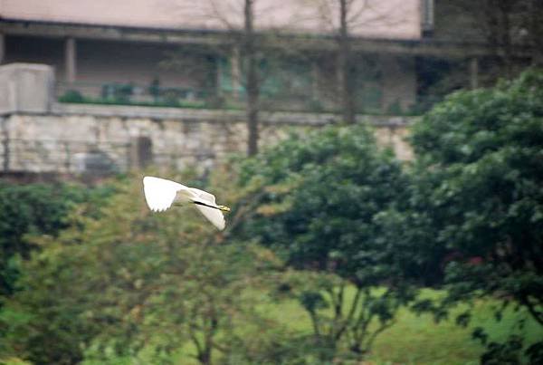 tn_DSC_0186.JPG