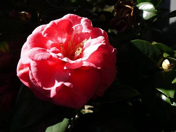 P1090084