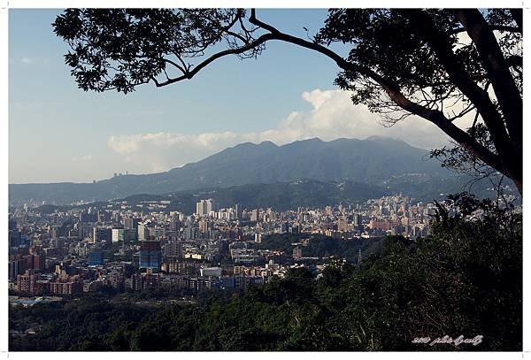 PA290674.JPG