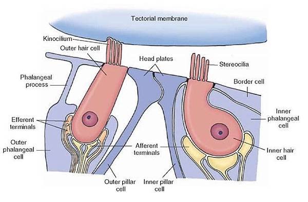 tmp15F70_thumb.jpg