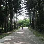 台北植物園