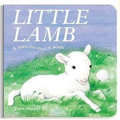 Little lamb1