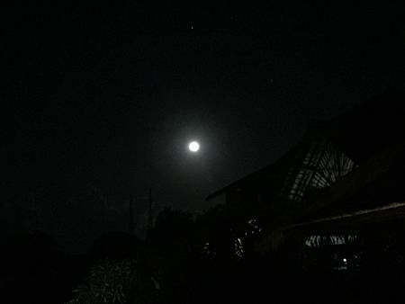 照片 1000