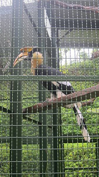 IMG_3340.jpg