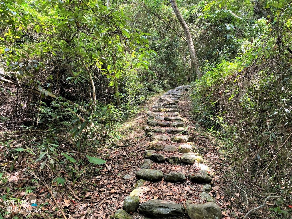 瑞穗村028.jpg