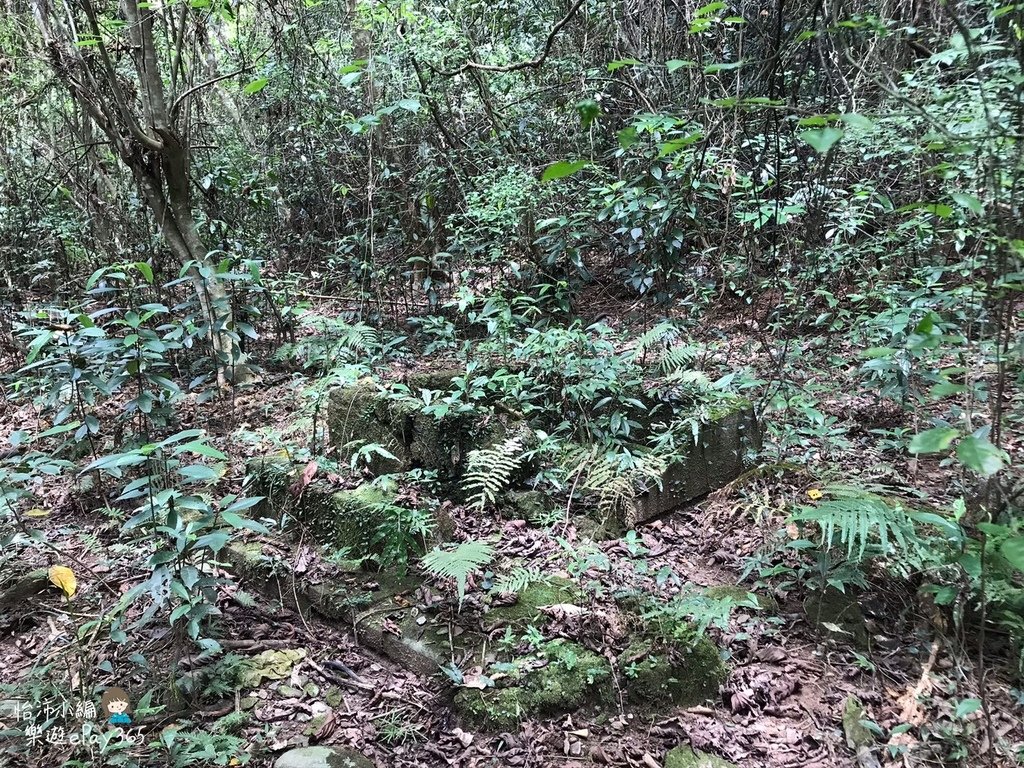 瑞穗村030.jpg