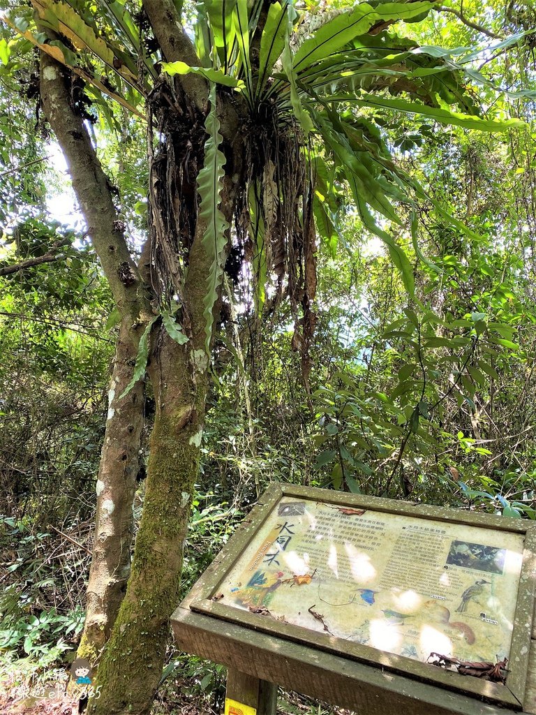 瑞穗村084.jpg